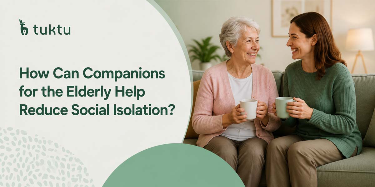 How Can Companions for the Elderly Help Reduce Social Isolation?