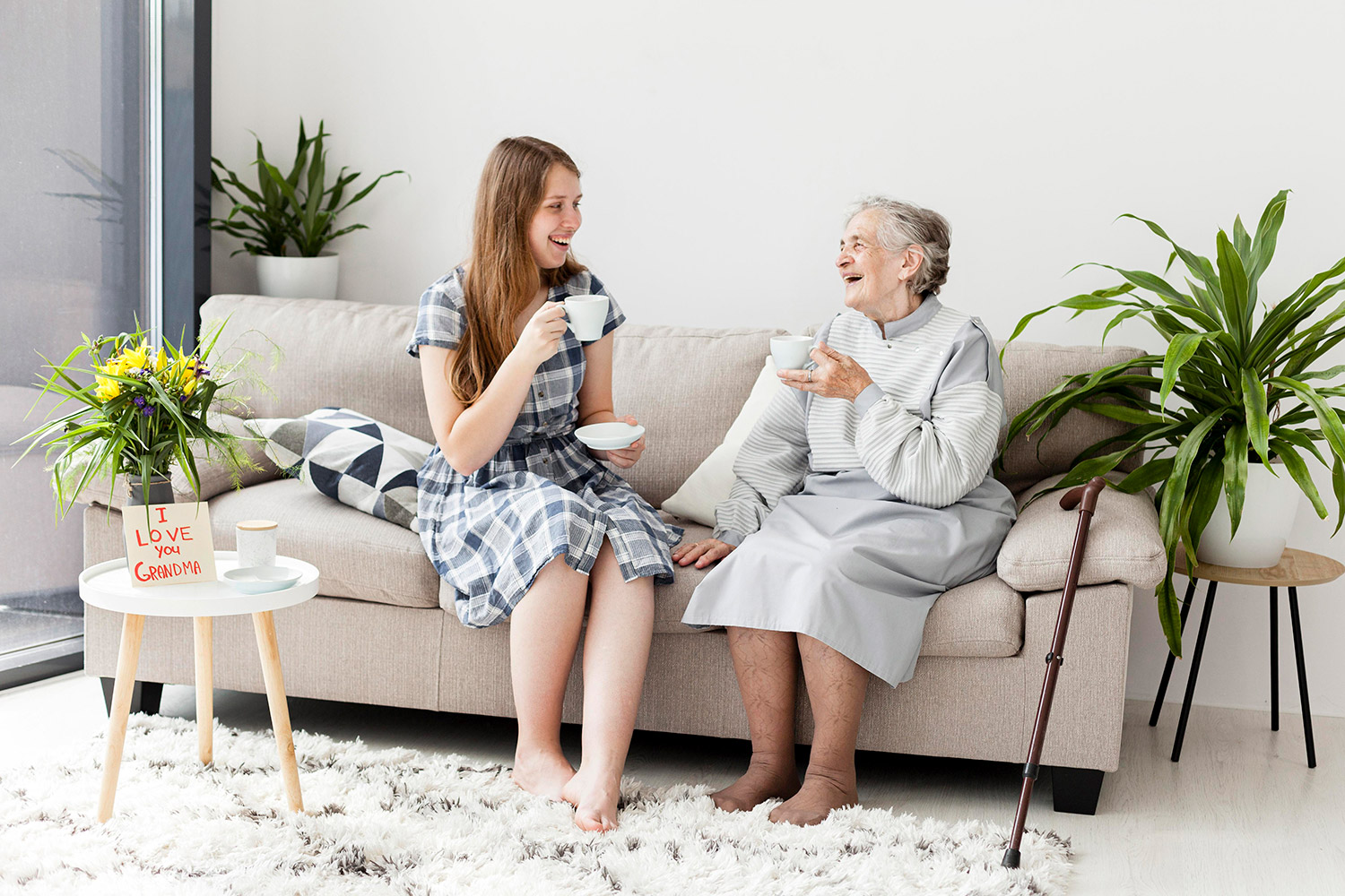 Companionship and Aging in Place
